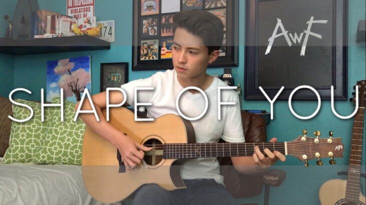 Ed Sheeran – Shape of You – Cover (Fingerstyle Guitar)