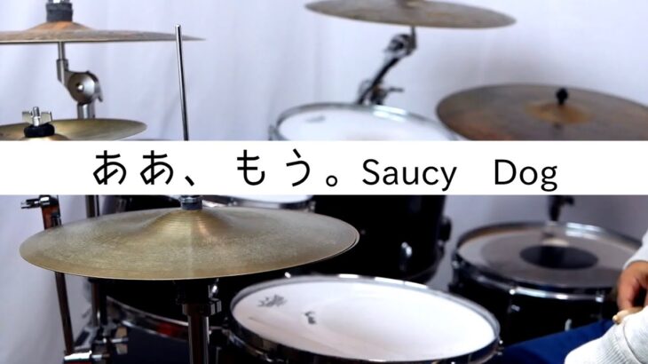 あぁ、もう。　Saucy Dog