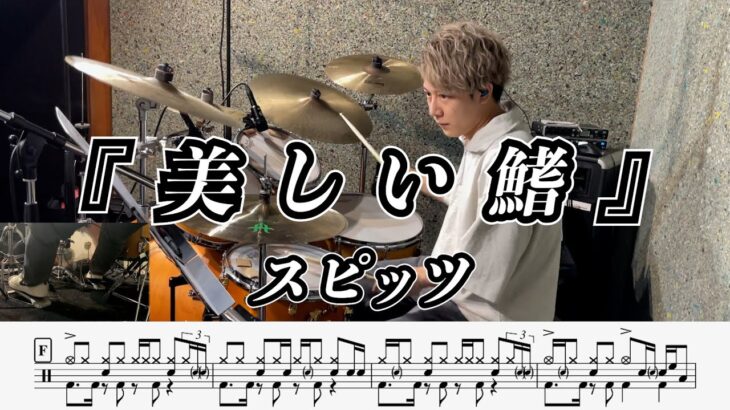 【スピッツ】美しい鰭-叩いてみた【ドラム楽譜あり】(spitz/utsukushii hire)【Drum Cover】