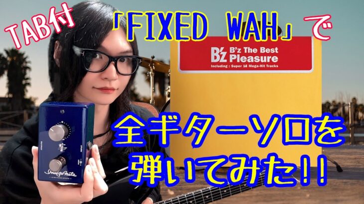 【全ソロTAB】話題のIndigo Note「FIXED WAH」でB’z “Pleasure”を弾いて検証してみた