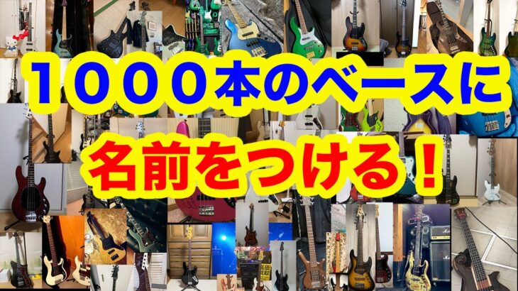 １０００本以上のベースの名付け親になってみた！！