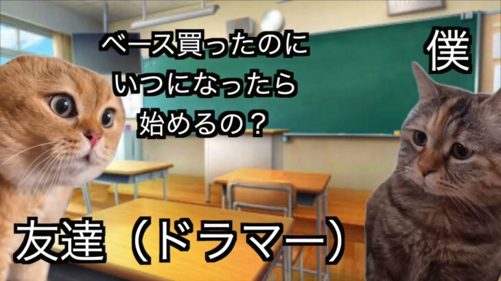 中学でベースを始めるきっかけになった出来事の話#猫マニ #猫ミーム