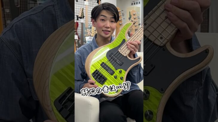 こんなキラキラな見た目のベース、知ってる？【Alusonic】 #bass #guitar #ベース