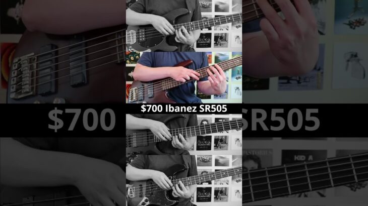 Can a $350 bass TAP like a $2000 one? #bass