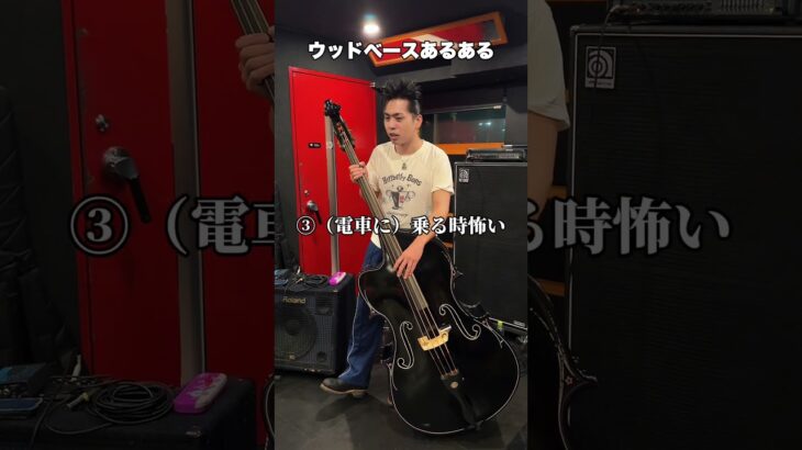 ウッドベースとは？プロに色々聞いてみた！#ベース