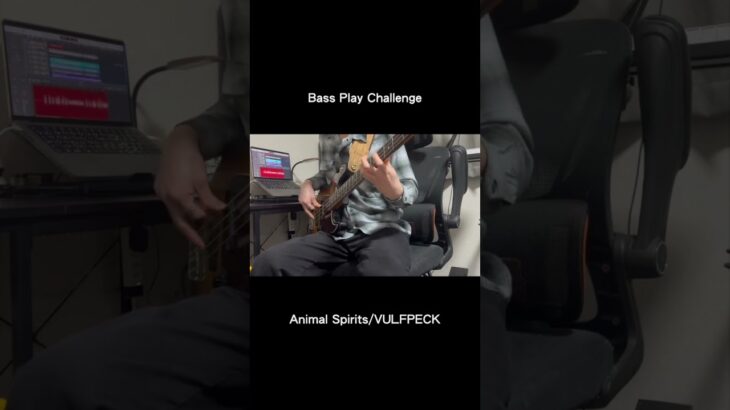 [ベース弾いてみた!] Animal Spirits/VULFPECK  #ベース #弾いてみた #vulfpeck #basscover #高らかに歌うセオ