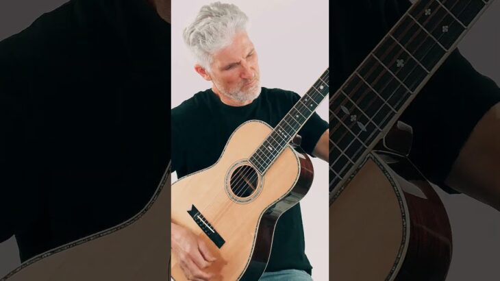 Small guitar, BIG sound – meet the BR-371 Parlor beauty!