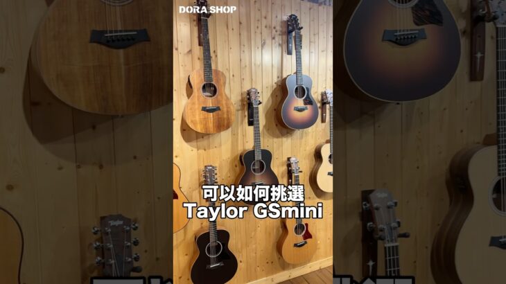 Taylor guitar GSmini 種類介紹！ #小叮噹的店 #guitar #taylor #acousticguitar #小叮噹的店 #dorashopmusic