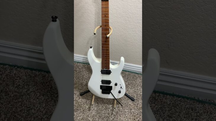 Unbelievable! This SBS Electric Guitar with a Floyd Rose is Under $300!