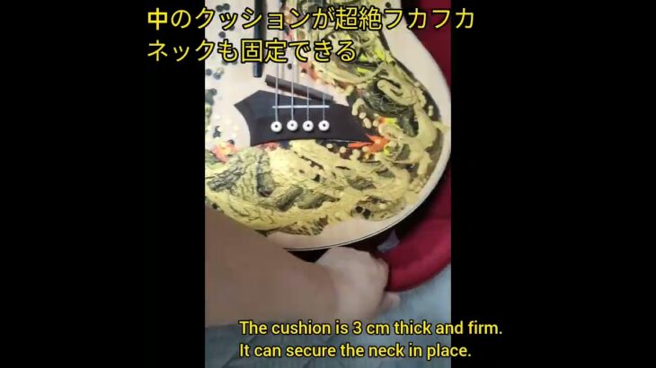 アコースティックベースのケースレビュー#Acousticbass #アコースティックベース #Jazz