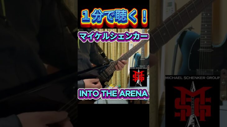 マイケルシェンカーギターカバー/INTO THE ARENA #guitar #flyingv #ギター #michaelschenker #msg