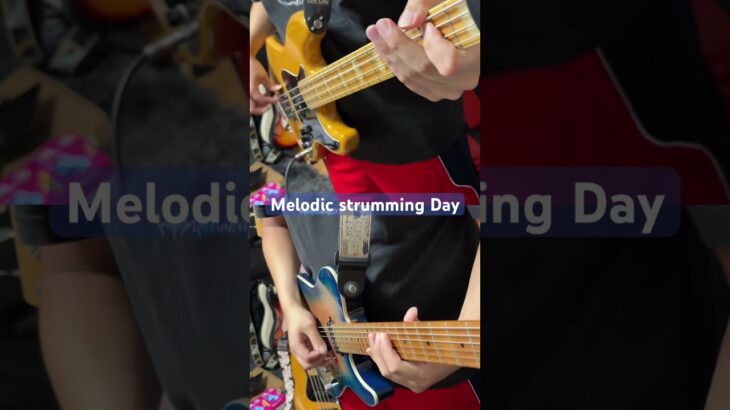 Melodic strumming Day #guitar #bass #guitarist #bassist #ギター #ベース #originalsong #instrumental
