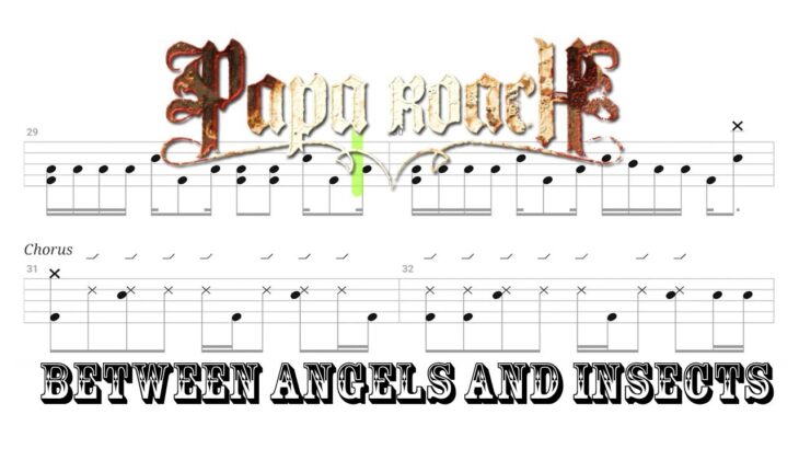 Papa Roach – Between Angels and Insects (🔴 Drum Notation | Tutorial) @chamisdrums Bass @ChamisBass