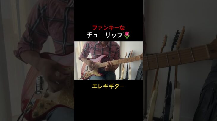 童謡【チューリップ】ファンキーver #ギター #弾いてみた #guitar