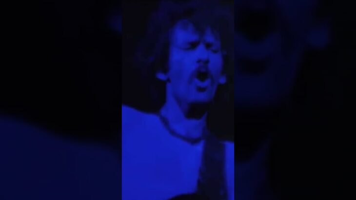 Do you know this bass player? – FELIX PAPPALARDI | #shorts