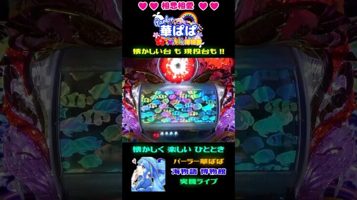 🎰ドラム機で再現🎰🌈どっかーんプレミアム🌈🎯MAX 10R GREAT LUCKY 大当り🎯🌺ドラム海物語 IN 沖縄🌺【 パーラー華ぱぱ 】ショート動画