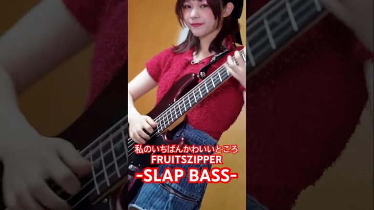 私のいちばんかわいいところ 【SLAP BASS】#basssolo #bass #slapbass #わたしの一番かわいいところ #ベース弾いてみた