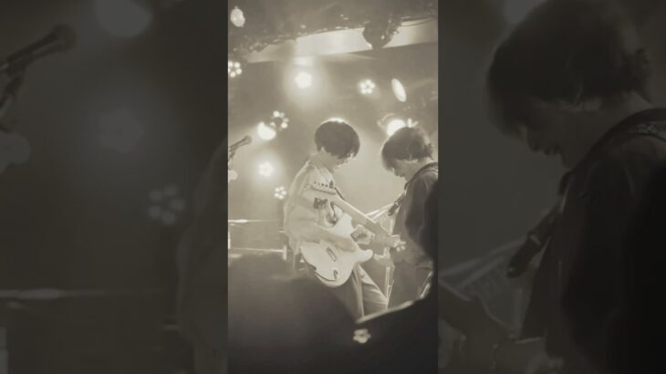熱いツインギター🎸 東名阪ツアーチケット販売中！#ギターソロ #オリジナル曲 #citypop #songofthesummer #ギター