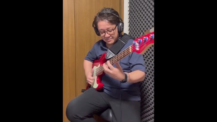 Slap Bass Solo#スラップベース #slapbass #basssolo #ベースソロ #sadowskybass #bass #弾いてみた #bassline #bassplayer