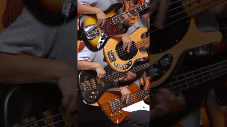 世界で最も有名なベースTOP4 あなたの好みは？Fender / Music Man / Warwick / Gibson