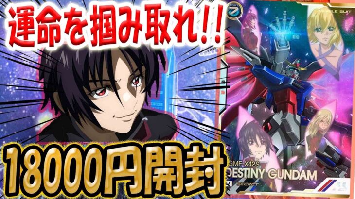 【ガンダム】【ガンダムアーセナルベース】運命を掴み取れ！！相性抜群ホビステさんのアセべオリパ1万8千円分開封したらまたまた当たりシク沢山GETした！！！！