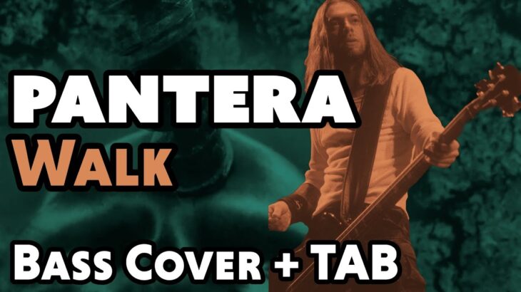 Walk by Pantera | Bass Cover + Free TAB Download