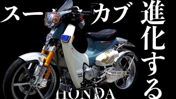 【世田谷ベース】新スーパーカブのポテンシャルを最大限に出したらこうなる！