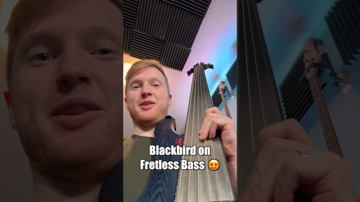 Most beautiful song on fretless bass 😍😍