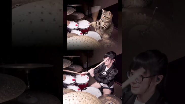 APT – drum cover Cat drummer and Tarn Softwhip