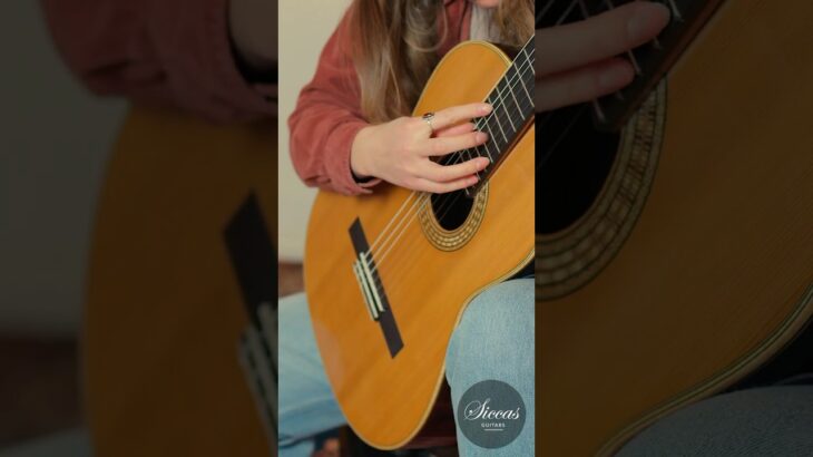 Everyone Knows This Song… But on Classical Guitar?! 😳🎸 Toby Rzepka 2026
