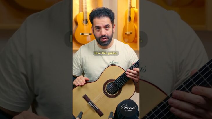 If You Love Modern Guitar Sound… This Is It 😍🎸 José Marques 2026 Doubletop