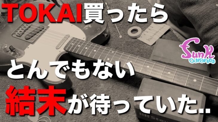 【情報求ム】TOKAI TE80を買ったら.. とんでもないギターだった!! – ギター屋 funk ojisan
