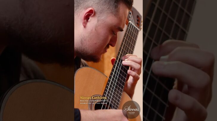 EFFORTLESS Guitar Playing on the Siccas Luthiers “Contemporary” 🎸✨ by Ben Diamond