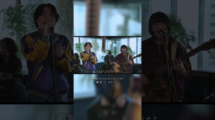 『細胞』 acoustic ver. 優里 × さとう。#shorts