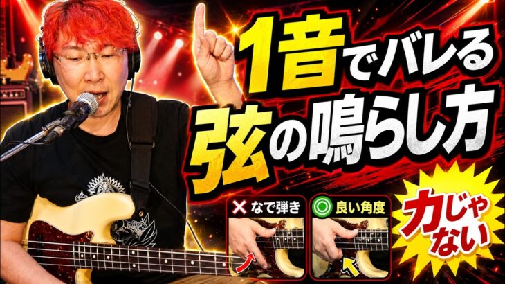 【1音でバレます】ベースは力より「弦の鳴らし方」です