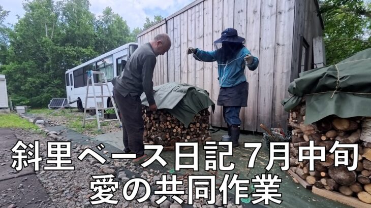 斜里ベース日記7月中旬　キタキツネ来た〜　エアコン稼働でソーラー発電をテスト