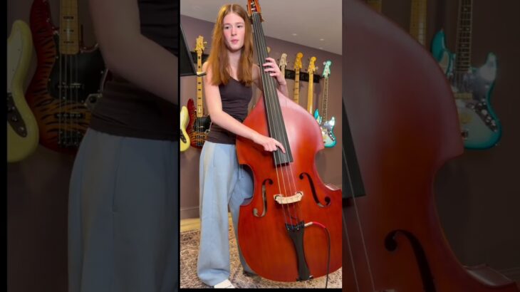 All The Things You Are on my Upright Bass