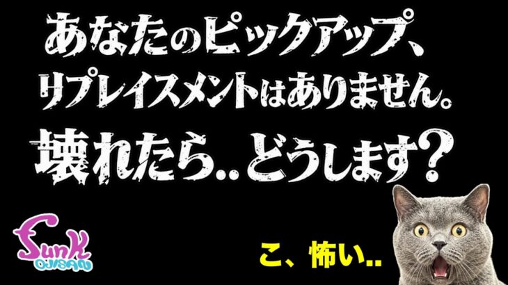 【ココだけ】実はピックアップもオーダーメイドが出来ます。 – ギター屋 funk ojisan