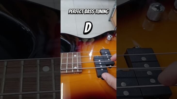 PERFECT BASS TUNING 🎸🤙🤣🎶