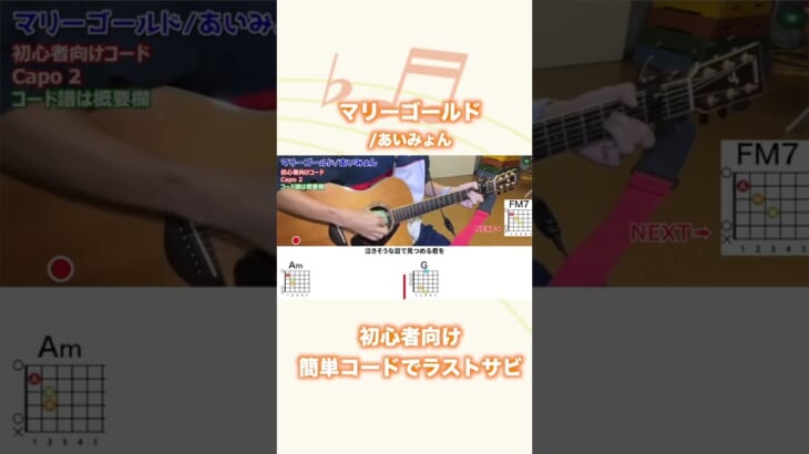 マリーゴールドのラストサビを初心者向け簡単ギターコードで弾き語り